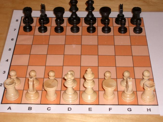Spielregeln Schach