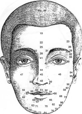 Gesichtsmerkmale physiognomie Gesichtszüge vergleichen