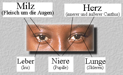 Augen große pupillen blaue Große Pupillen